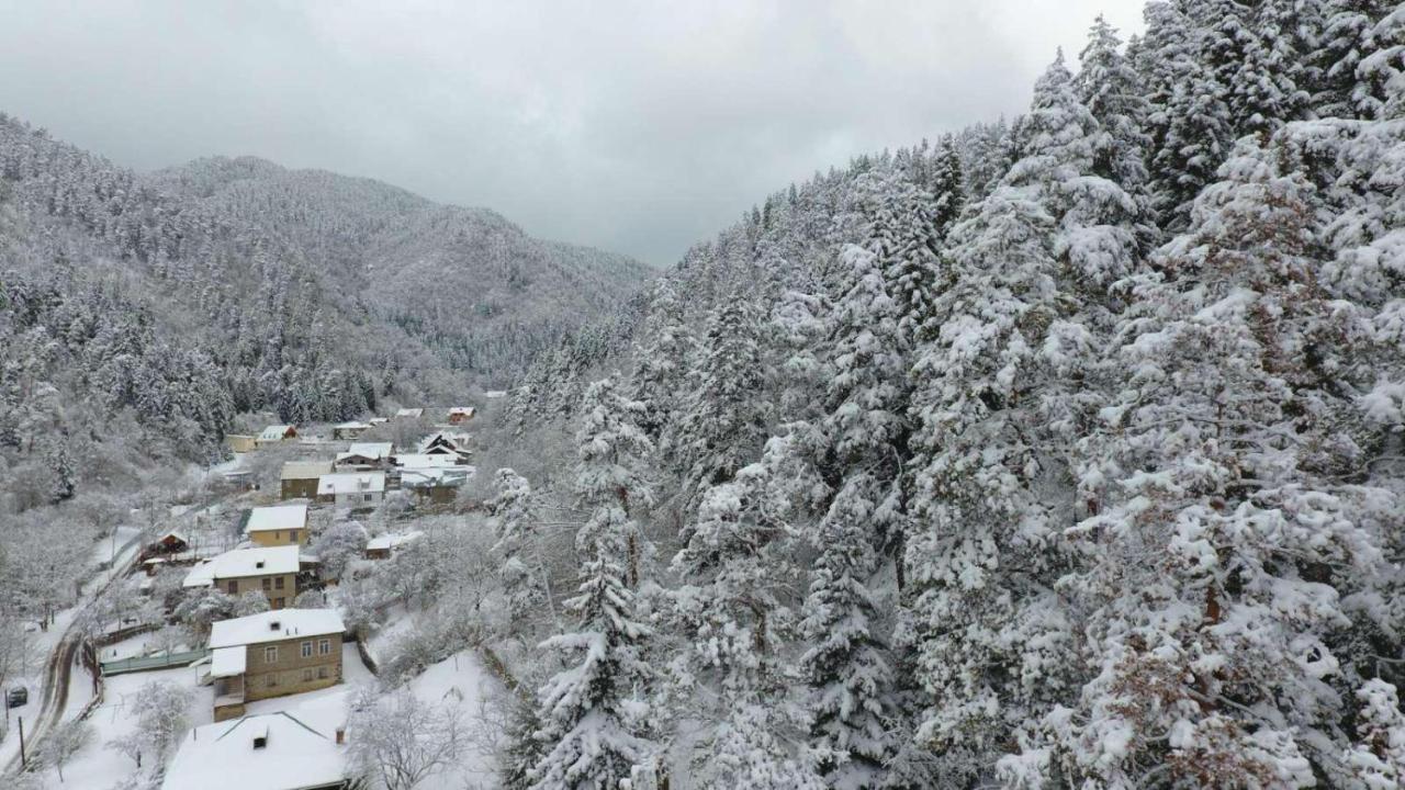 Serenity Likani Villa Hotel Bordzjomi Buitenkant foto