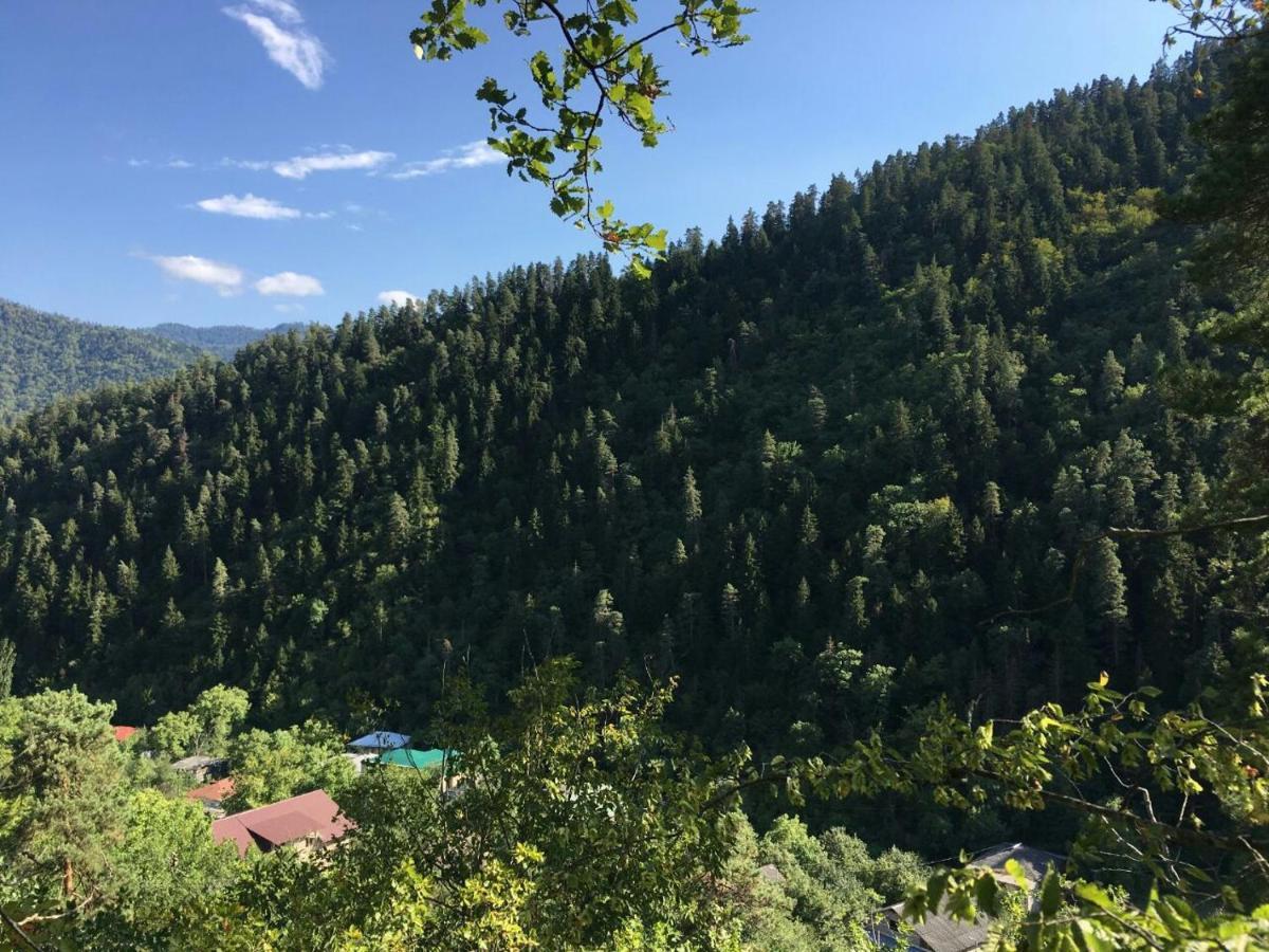 Serenity Likani Villa Hotel Bordzjomi Buitenkant foto