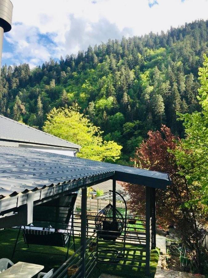 Serenity Likani Villa Hotel Bordzjomi Buitenkant foto