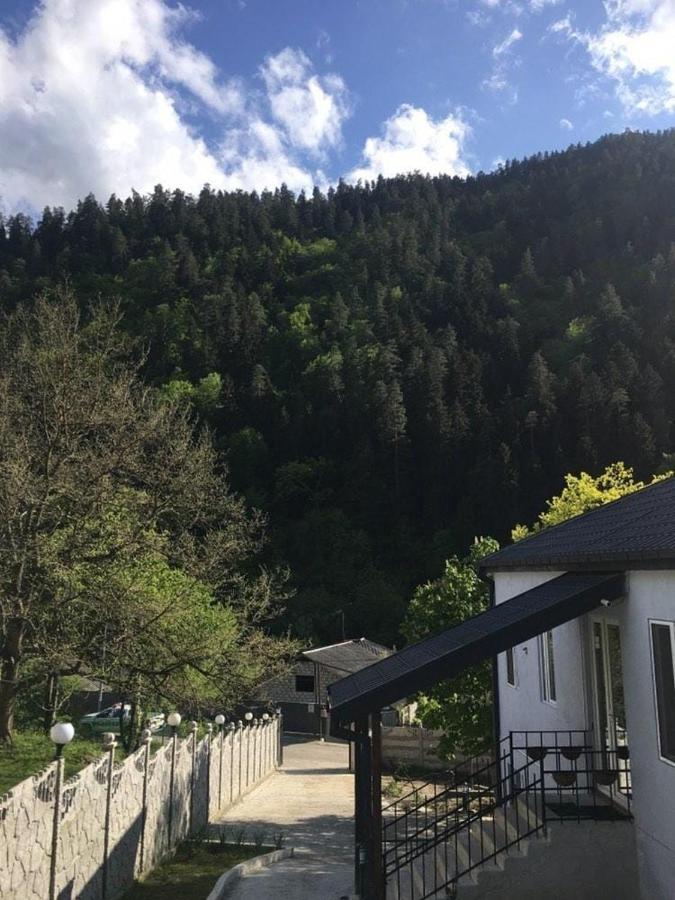 Serenity Likani Villa Hotel Bordzjomi Buitenkant foto