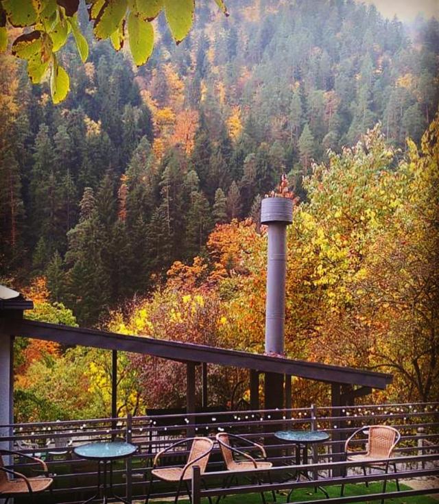 Serenity Likani Villa Hotel Bordzjomi Buitenkant foto