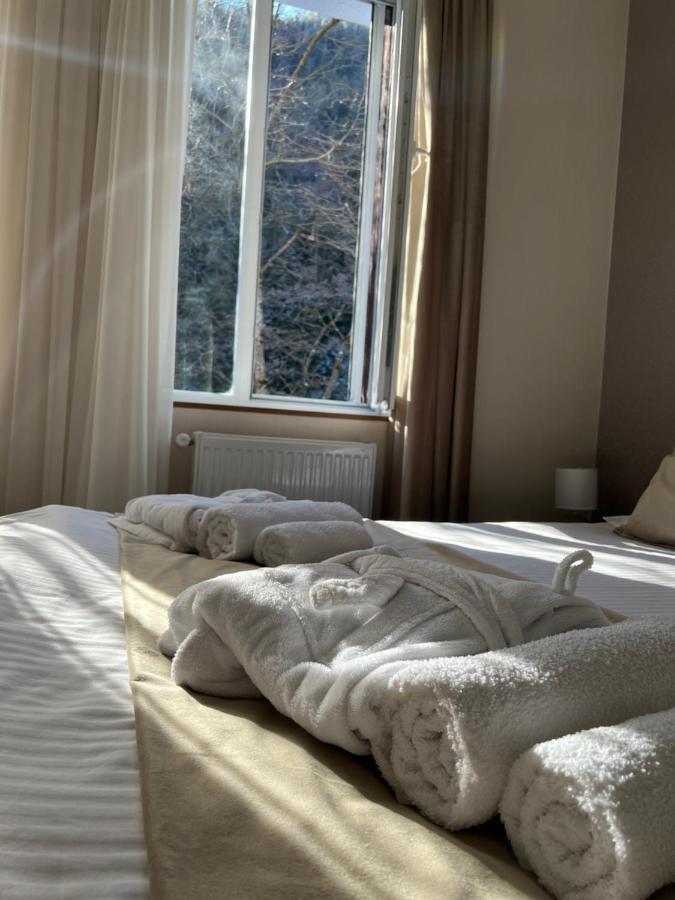 Serenity Likani Villa Hotel Bordzjomi Buitenkant foto
